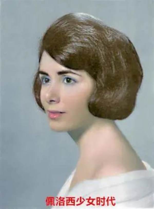 政坛妖妇佩洛西