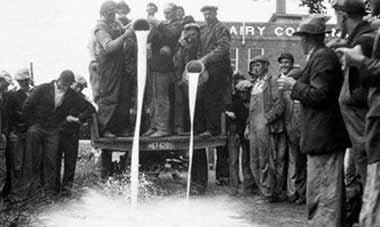 牛奶是用来喝的，不是倒的-激流网