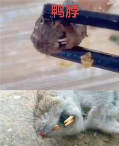 为了一个鸭脖，江西省四大巨头部门成立联合调查组