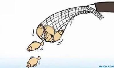 《邓小平时代》中的一句话，让我明白了为何不捉北极鲇鱼？