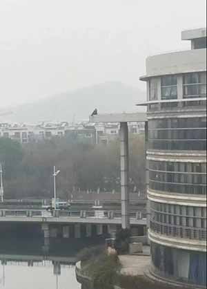 不堪导师压榨选择自焚的南邮研究生，死的不应是你！