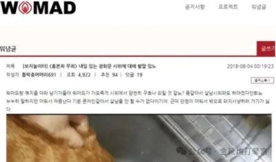 欧洲金靴-青岛代孕案与韩国N号房：性犯罪背后的社会失衡