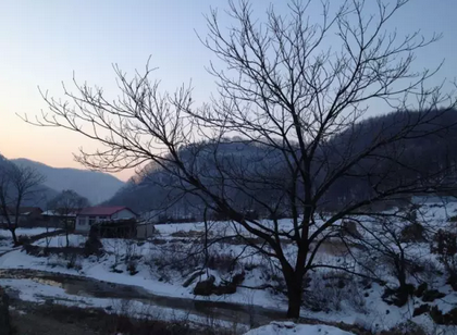 春节返乡见闻：一个病情加重的东北村庄