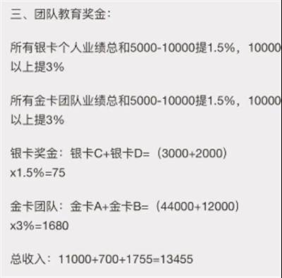 张庭林瑞阳的诈骗传销商业帝国“起死回生”真天理难容！