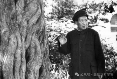 欧洲金靴-青岛代孕案与韩国N号房：性犯罪背后的社会失衡