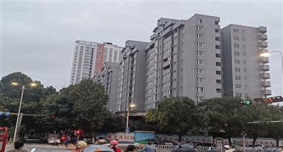 “迷笛音乐节”后感慨之一：南阳百姓太苦了！