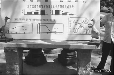 寻回中国社会主义科学——土洋结合的昆虫学家蒲蛰龙