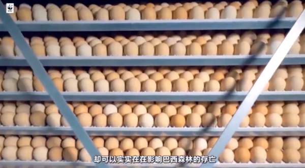 “丁香医生”被封，冤枉吗？