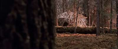 《太阳照常升起》里的背叛、迷失、传承