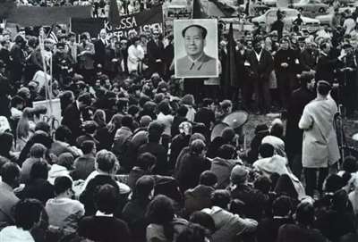 那个让西方胆颤的女人：《海贼王》里妮可·罗宾的原型出狱了！