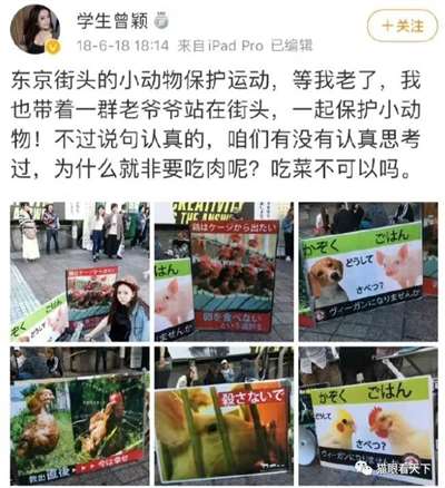 极端狗奴们为何再次集体沉默不语了？