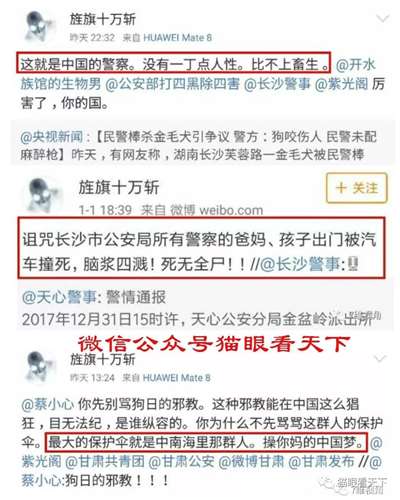 极端狗奴们为何再次集体沉默不语了？
