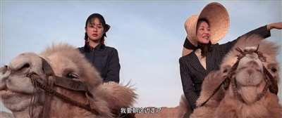 《太阳照常升起》里的背叛、迷失、传承