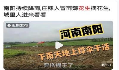 “迷笛音乐节”后感慨之一：南阳百姓太苦了！