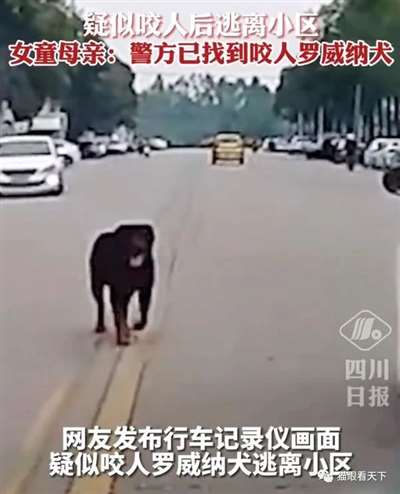 极端狗奴们为何再次集体沉默不语了？