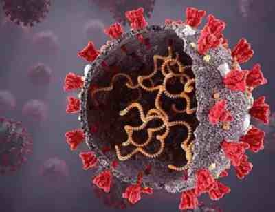 新冠“特效药”的门槛很高,一般人真迈不过去!