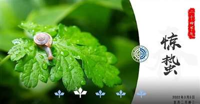 鸭脖就是鼠头，鼠头就是鸭脖，蒸馍，你不扶器？