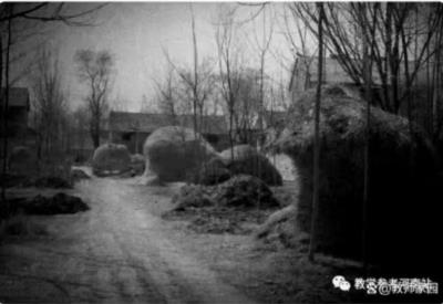 《杜鹃花落》事件的关键问题何在？