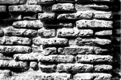 《杜鹃花落》事件的关键问题何在？