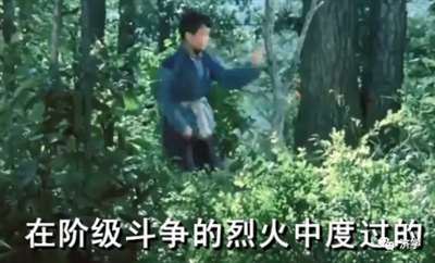 我胡汉三回来了：电影《闪闪的红星》经典台词