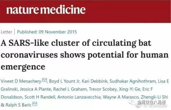 欧洲金靴：「基因外流」背后的战争阴影