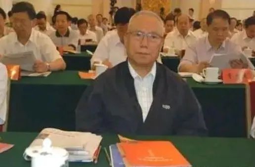 赵亚力 - 吃剩饭的军长走了——记李际均军长二三事