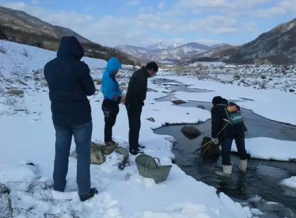 春节返乡见闻：一个病情加重的东北村庄
