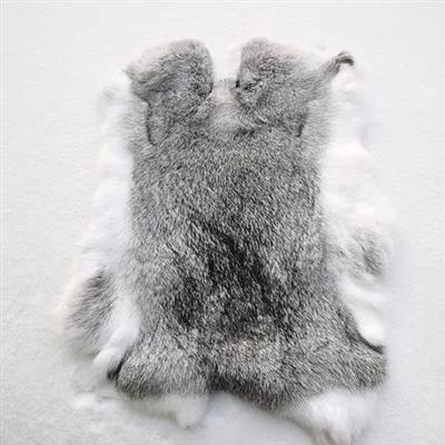 印第安人到底长什么样？