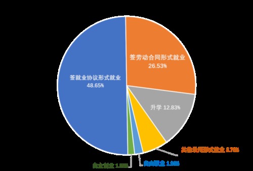 96%就业率实为20%，大学今年还敢造假吗？