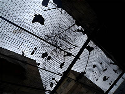 在希伯伦体验巴以冲突