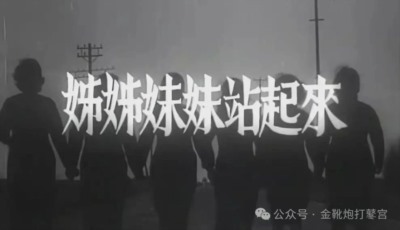 欧洲金靴-青岛代孕案与韩国N号房：性犯罪背后的社会失衡