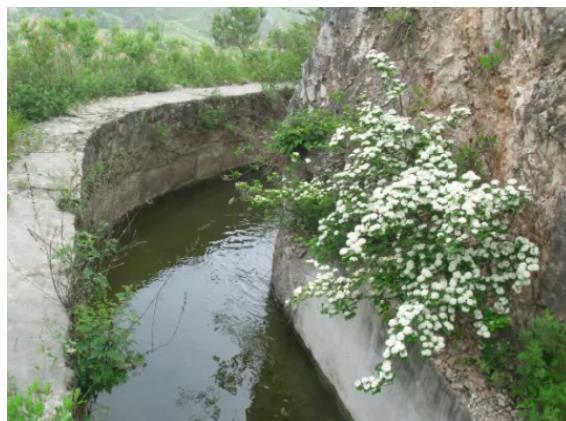 【冷】陕西通报洛南脱贫造假初步结果，3000个评论没放出一条！