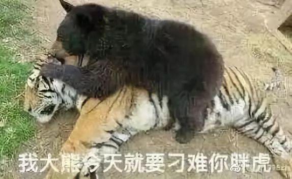 诺贝尔和平奖：重新定义和平，拉低含金量