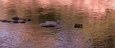 《太阳照常升起》里的背叛、迷失、传承