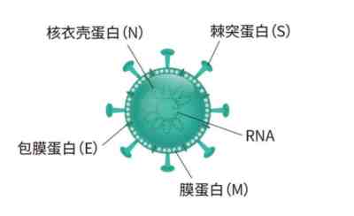 新冠“特效药”的门槛很高,一般人真迈不过去!