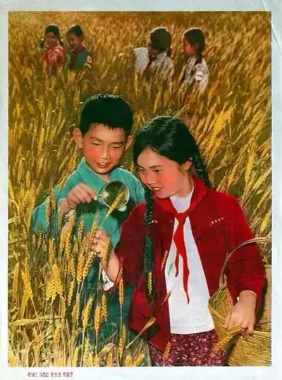 如何看待六七十年代的教育改革?