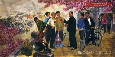 如何看待六七十年代的教育改革?