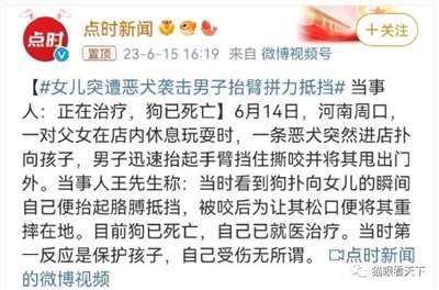 极端狗奴们为何再次集体沉默不语了？