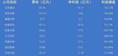 拥有35家核酸公司的张珊珊，何许人也？