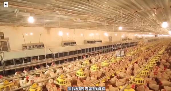 “丁香医生”被封，冤枉吗？