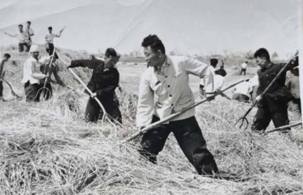 悼念逝去的时代：《我的县长父亲》撞梗舆论风波