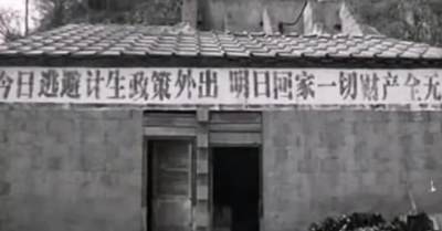 计划生育与国家权力转型