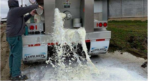 【资本的罪恶】牛奶倒掉、楼盘炸掉，就是不降价：出路在哪里？