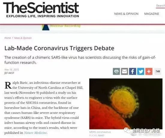 欧洲金靴：「基因外流」背后的战争阴影