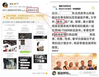 极端狗奴们为何再次集体沉默不语了？