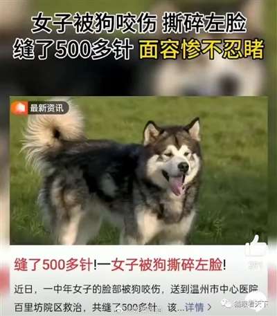 极端狗奴们为何再次集体沉默不语了？