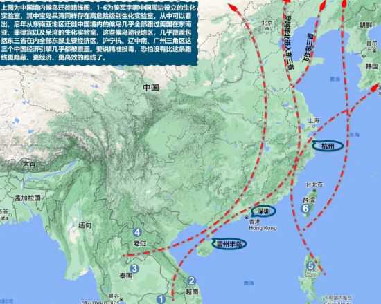 假如美国打赢生化战，中国未来会怎样？