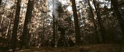 《太阳照常升起》里的背叛、迷失、传承