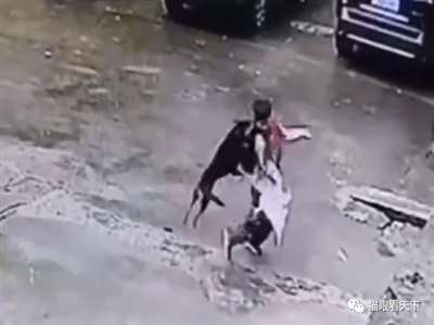 极端狗奴们为何再次集体沉默不语了？