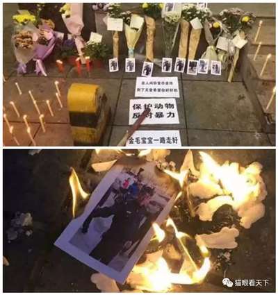 极端狗奴们为何再次集体沉默不语了？